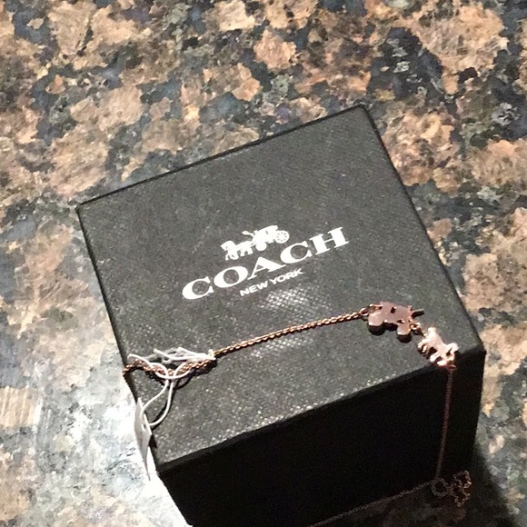 Coach - Picture 3 of 4